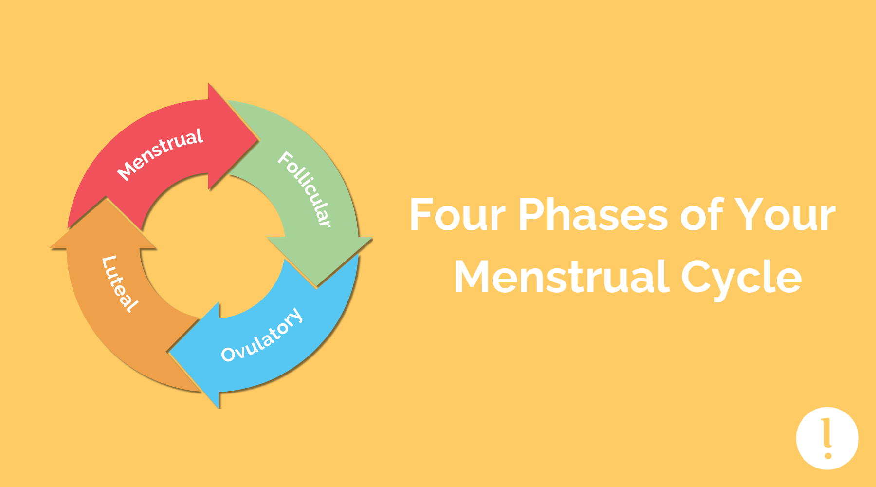 four-phases-of-a-menstrual-cycle-what-to-expect-during-each-phase